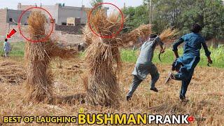 The Art of Fainting Shocking BUSHMAN PRANK New Very Joke Video