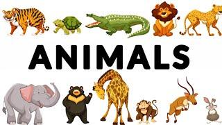 Animals name English Vocabulary  Animals for kids  learn animals in English