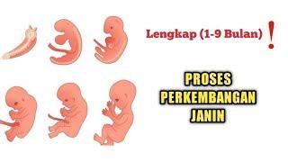 Perkembangan Janin dari Bulan ke Bulan LENGKAP️ 1-9 Bulan