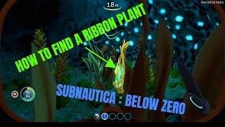 SUBNAUTICA BELOW ZERO HOW TO FIND A RIBBON PLANT