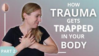 How Trauma Gets Trapped in Your Body and Nervous System 23