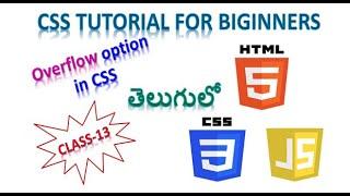 WEB DEVELOPMENT TUTORIAL  CSS tutorial for beginners  Text overflow option in CSS  class 13