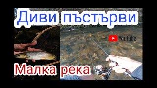 Риболов на дива балканска и американска пъстърва на малка  река. Рыбалка на форель в горных реках