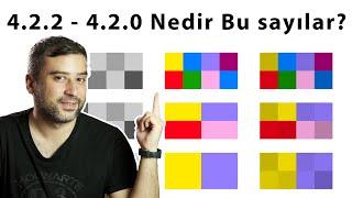 4.2.2 4.2.0 Nedir Bu Renk Örneklemesi