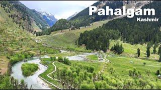 Pahalgam Kashmir  Aru Valley  Betaab Valley  Chandanwari  Kashmir Tourism  Manish Solanki Vlogs