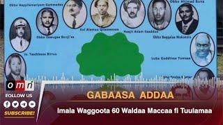 OMN Imala Waggoota 60 Waldaa Maccaa fi Tuulamaa Adoolessa 16 2024