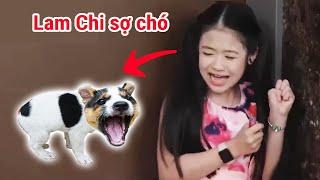 Gia đình là số 1 Phần 2  Lam Chi không chịu thua bất cứ ai trừ CHÓ