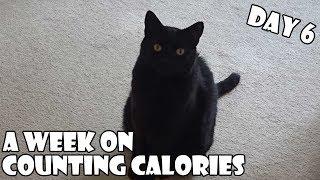 A Week On Counting Calories DAY 6