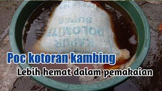 Cara mudah membuat poc dari kotoran kambing