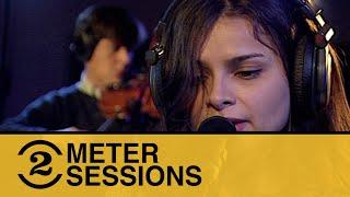 Mazzy Star - Flowers in December Live on 2 Meter Sessions