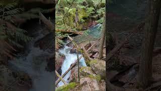 Avalanche Gorge Glacier National Park #nature #nationalpark #travel