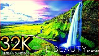 The Beauty of Nature 32K ULTRA HD - Tour Around The Forest  Relaxing Music - Russian River
