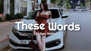 Natasha Bedingfield - These Words Badger Remix  Car Music