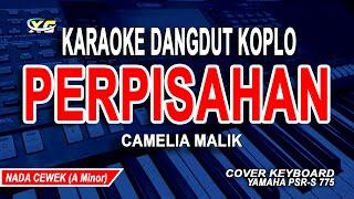 CAMELIA MALIK - PERPISAHAN KARAOKE NADA WANITA DANGDUT KOPLO