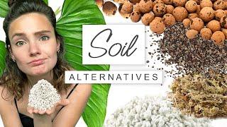 Soil Alternatives For House Plants  What Is Pon For Plants ?
