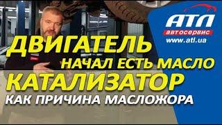 Двигатель начал есть масло  Катализатор  как причина масложора