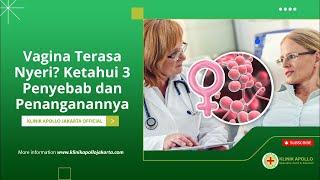 VAGINA TERASA NYERI KETAHUI 3 PENYEBAB DAN PENANGANANNYA