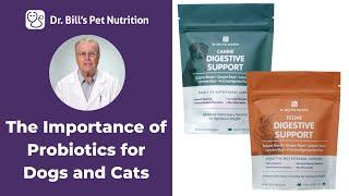 Digestive Support  The Importance of Probiotics for Dogs & Cats  Dr. Bills Pet Nutrition