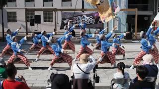 舞龍人・黒崎よさこい祭り2023（黒崎中央公園会場）