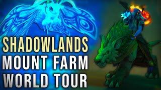 WoW Mount Farm World Tour - Shadowlands - MaldraxxusArdenweald