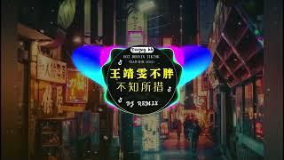 酒吧最火DJ舞曲 - 最新最火DJ抖音版2024【dj舞曲蹦迪2024】TIK TOK抖音音樂熱門歌單 Douyin Top Trending【2024月最火中文 】Chinese Dj Remix