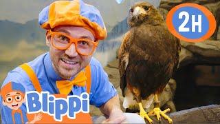 Blippi Feeds and Plays With the Animals at the Zoo  2 HOURS OF BLIPPI TOYS