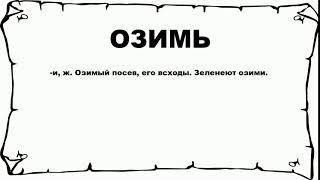 ОЗИМЬ - что это такое? значение и описание