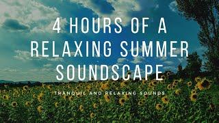 Relaxing Summer Soundscape