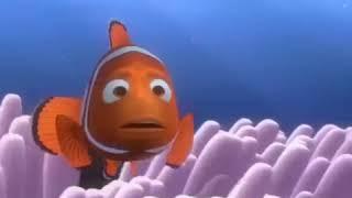 Finding Nemo Barracuda Speed And Reverse