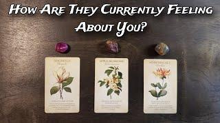 How Are They Currently Feeling About You?   Pick A Card Love Reading