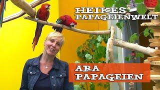 Papageien Artenportraits Aras im Papageienpark - mit Heike Mundt