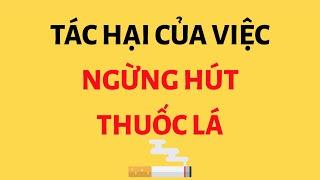 Tổng hợp những kiến thức thú vị - Tập 5  Những kiến thức có thể bạn chưa biết  Tri thức nhân loại