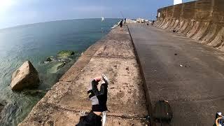 Ловля скумбрии с берега  Catch mackerel from pier