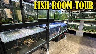 Full Fish Room Tour Every Single Fish Tank