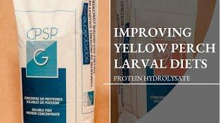 Improving Larval Feed for Yellow Perch Protein Hydrolysate