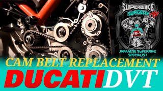 Ducati DVT Cam Belt Replacement