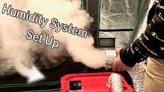 How to Build a Humidity System for Growing Mushrooms