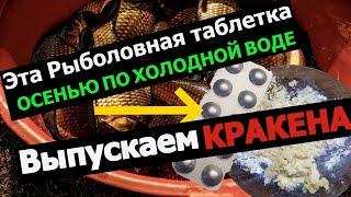 ТАБЛЕТКА ДЛЯ РЫБАЛКИ ПО ХОЛОДНОЙ ВОДЕ. Супер рыболовная насадка для карася леща карпа.