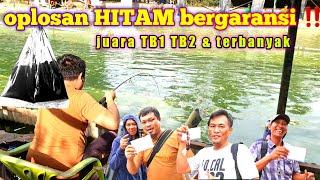 test umpan ikan mas OPLOSAN HITAM ga ada obat‼️ #GP-103