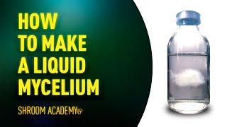  Shroom Academy how to make a liquid mushroom culture or liquid mycelium