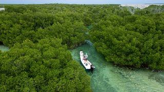 Exploring Deep In The Bush  Snappers Sharks & Stone Crabs