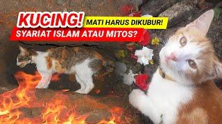 KUCING HARUS DIKUBUR DALAM ISLAM BUKAN MITOS 