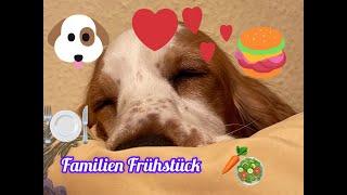 Heute Frühstück menu fur Amy und Ihre Brüder  Amy The Cocker