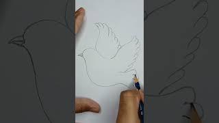 How to draw easy flying bird  Easy bird drawing #shorts