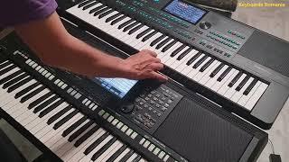 Medeli AKX10 versus Yamaha PSR-S775