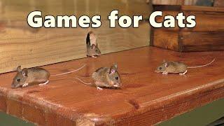 Cat Games  Mouse Watch TV  Mice for Cats to Catch 