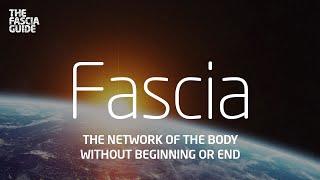 Fascia Documentary The network of the body without beginning or end