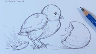 How to Draw a Baby Chick Step by Step  Pencil drawing