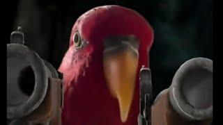 Red Bird Meme Compilation