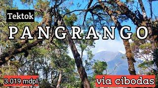 PENDAKIAN GUNUNG PANGRANGO 3.019 MDPL VIA CIBODAS  edisi tektok @salliadventure